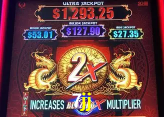 7jj Curitiba - Live Status